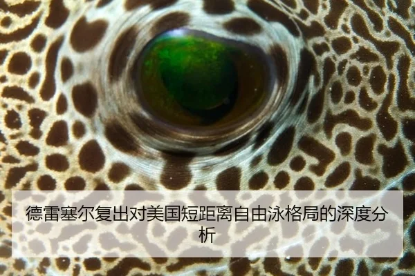 德雷塞尔复出对美国短距离自由泳格局的深度分析